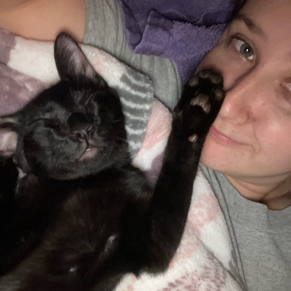 Meet your Posher, Emma - Picture 2 of 2